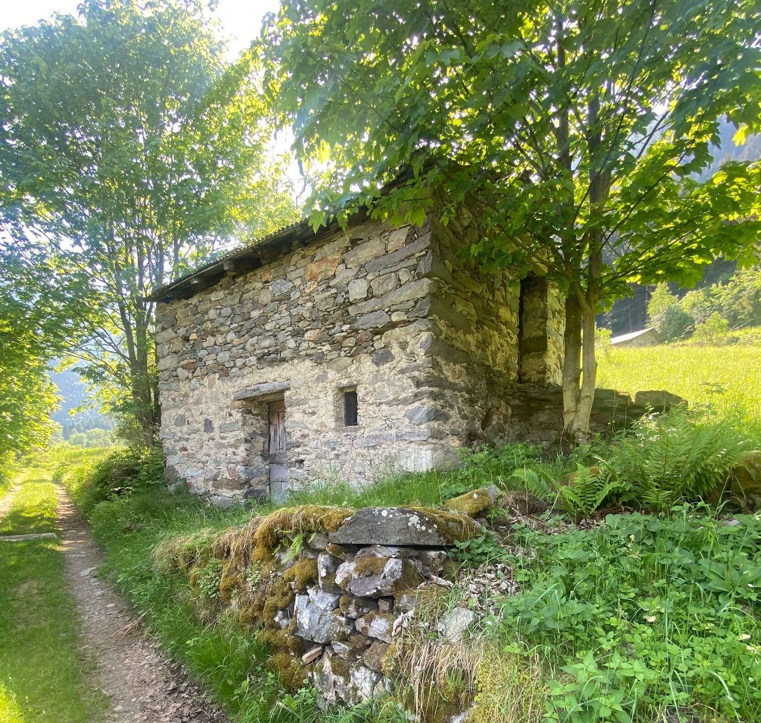 La baita La Tegia in pietra e legno, immersa nel bosco alpino